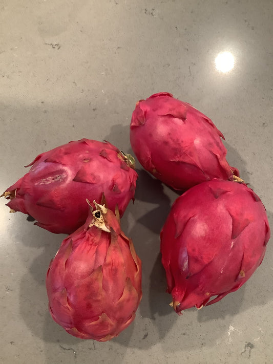 Sugar Dragon Fruit - Healthy Harvesters