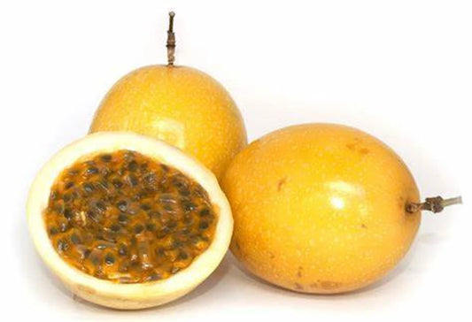 Yellow Passion Fruit Yellow Granadilla (P. Laurifolia) - Healthy Harvesters