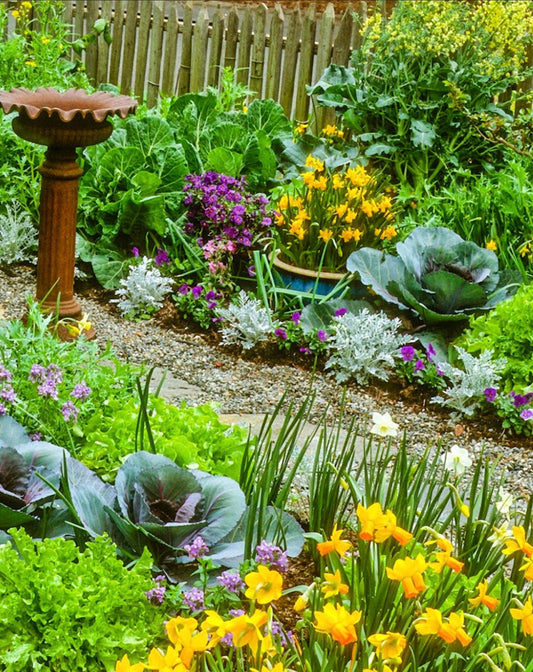 Benefits of Edible Landscaping - Healthy Harvesters