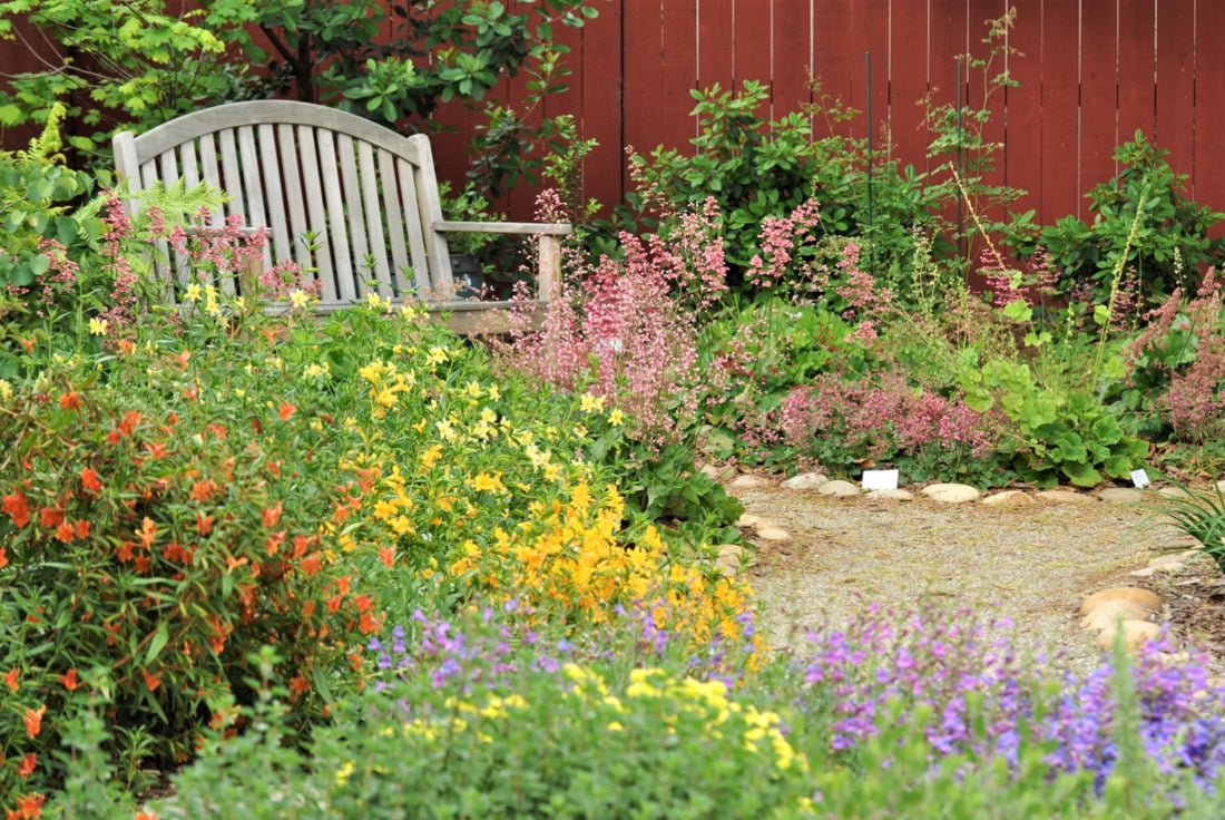 Native Garden