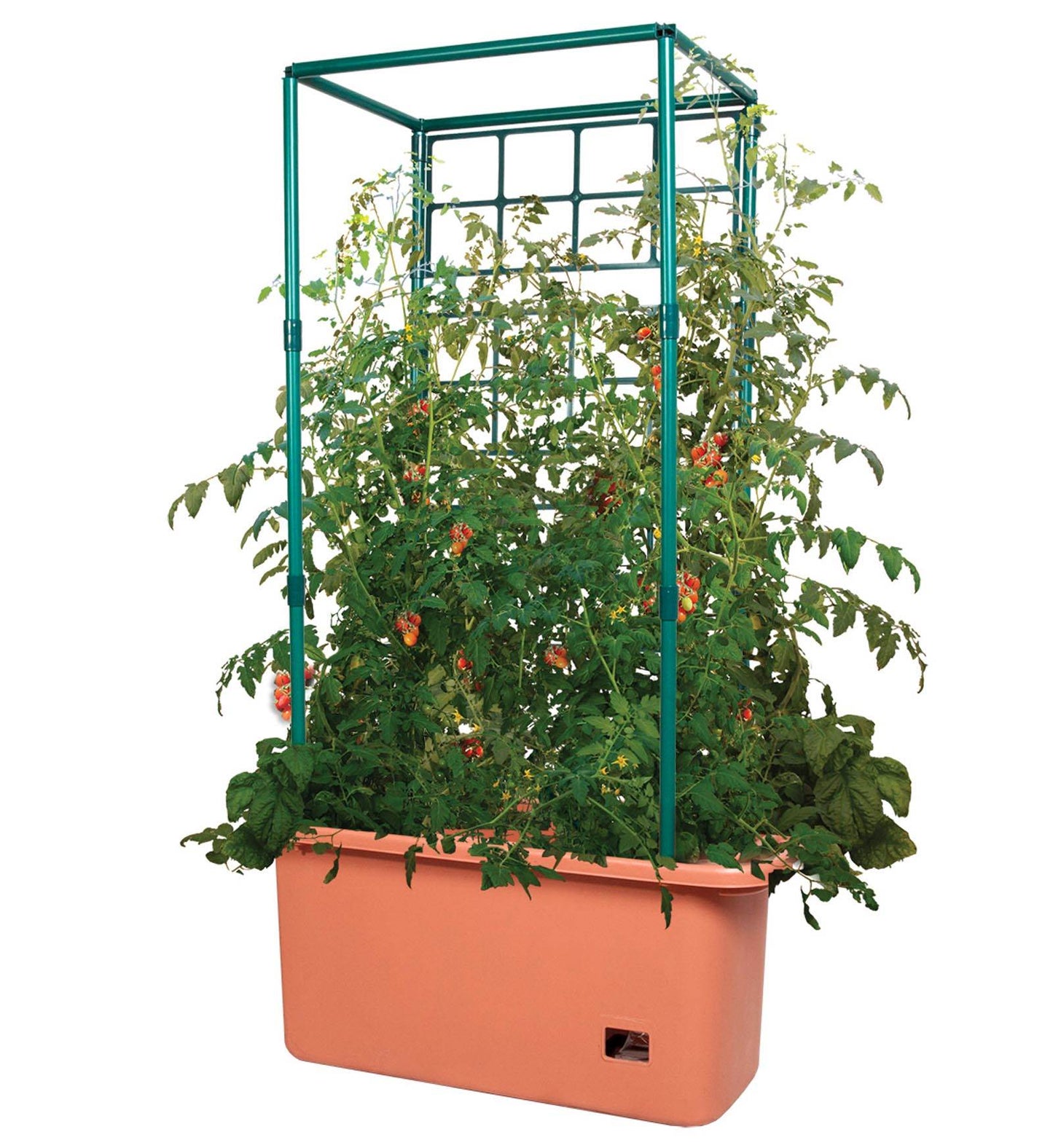 Hydrofarm 10 Gal Tomato Trellis Self Watering Grow System on Wheels (3 Pack)