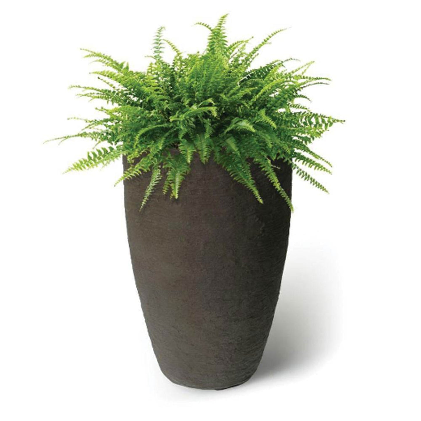 Algreen Products 87311 Athena Self-Watering Planter, Brownstone (4 Pack)