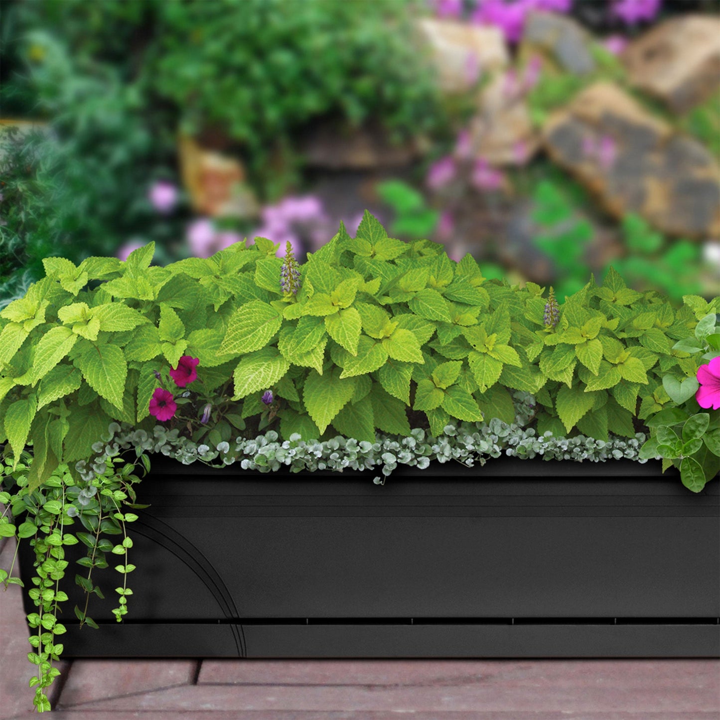 Southern Patio 36 Inch Medallion Hanging Windowsill Garden Box Planter, Black