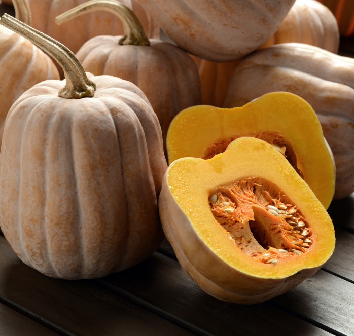 Autumn Frost Hybrid Winter Squash Seeds