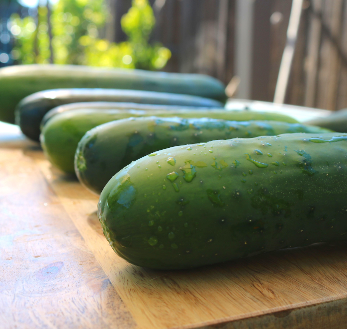 Burpless Supreme Hybrid Cucumber Seeds