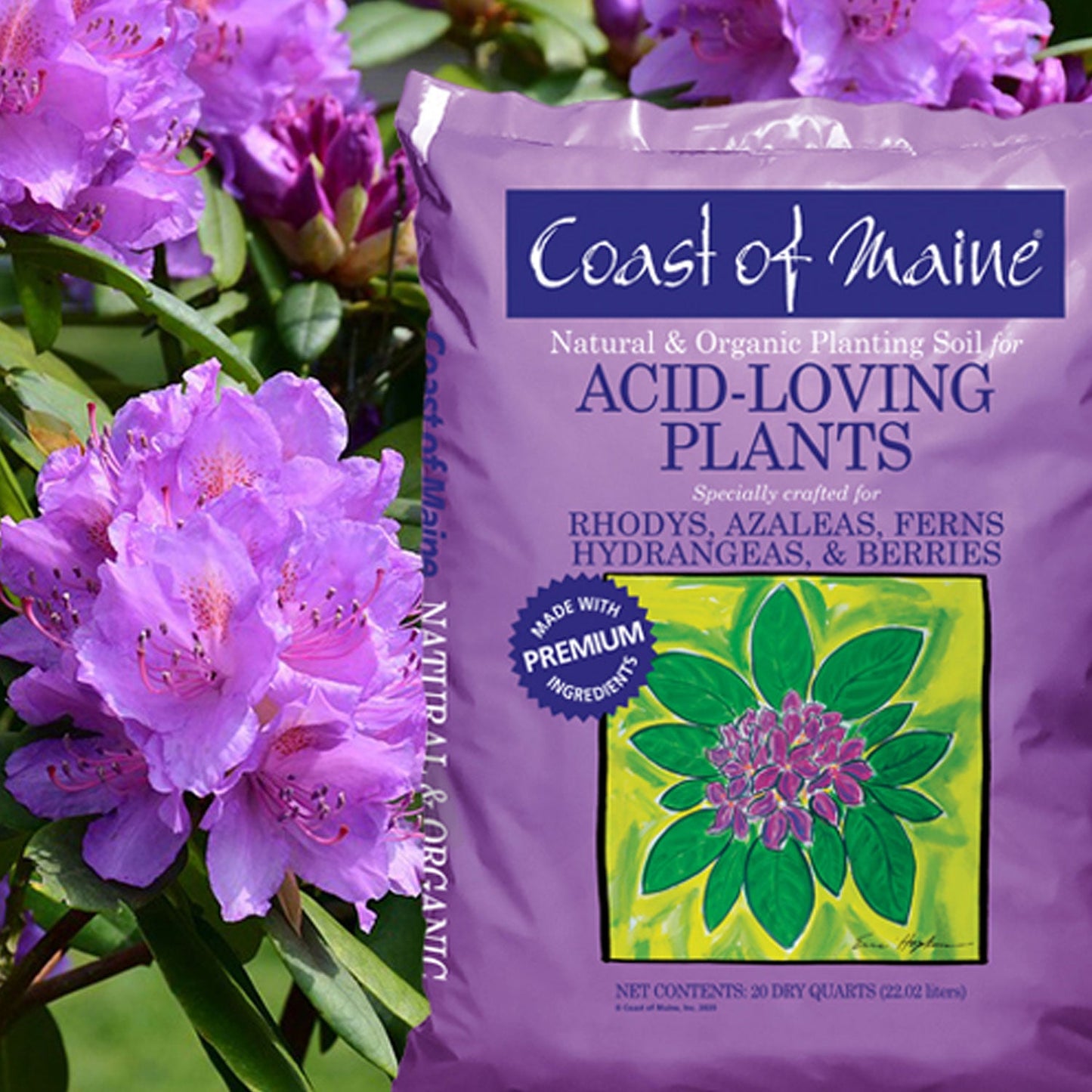 Coast of Maine Organic Natural Potting Soil for Acid Loving Plants, 20 Qt (2 Pk)