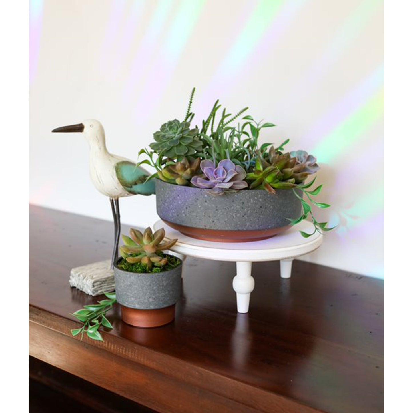 The HC Companies 8 In Capri Bowl Indoor Succulent Planter, Faux Concrete Copper