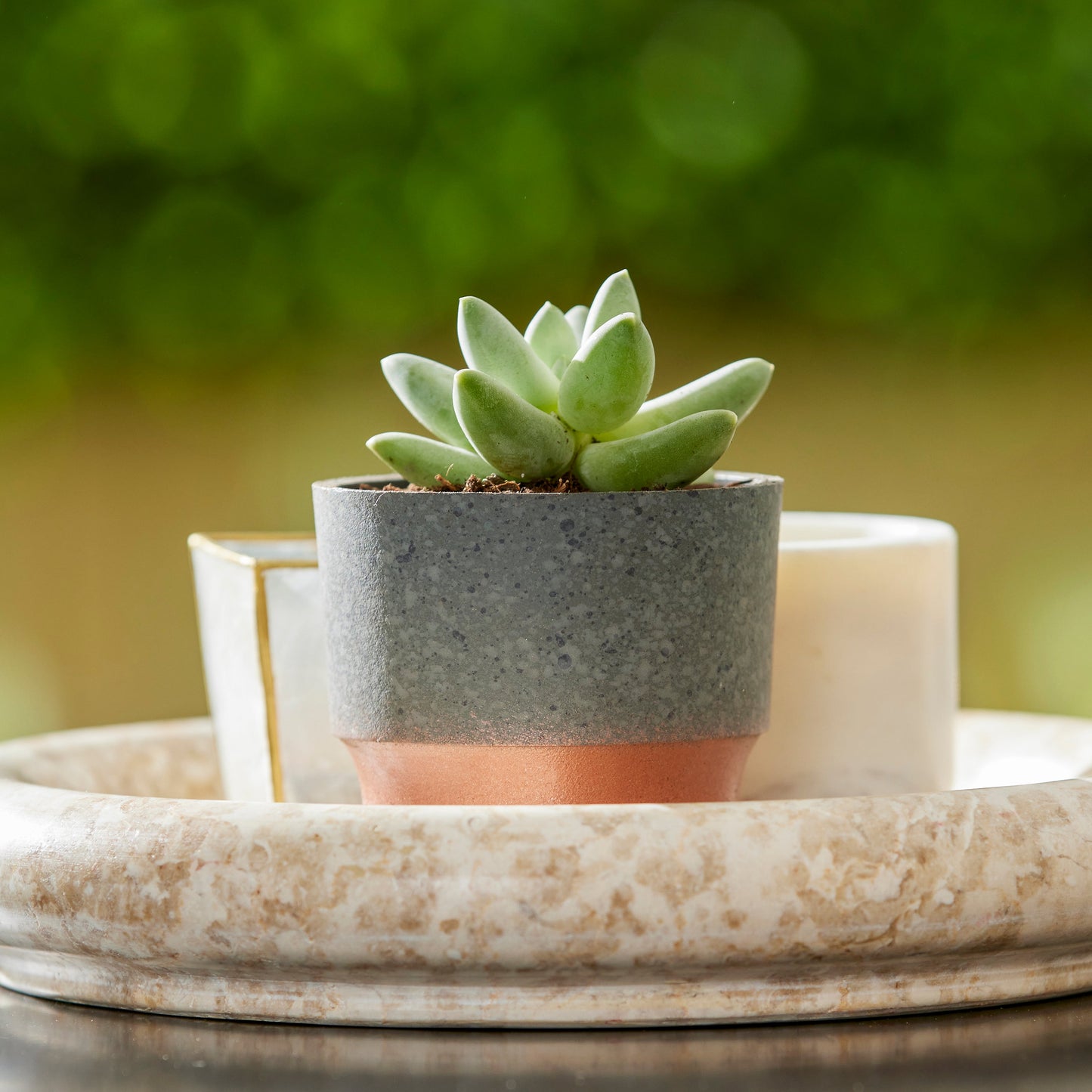 The HC Companies 3in Sprite Succulent Planter Pot, Faux Concrete Copper (2 Pack)