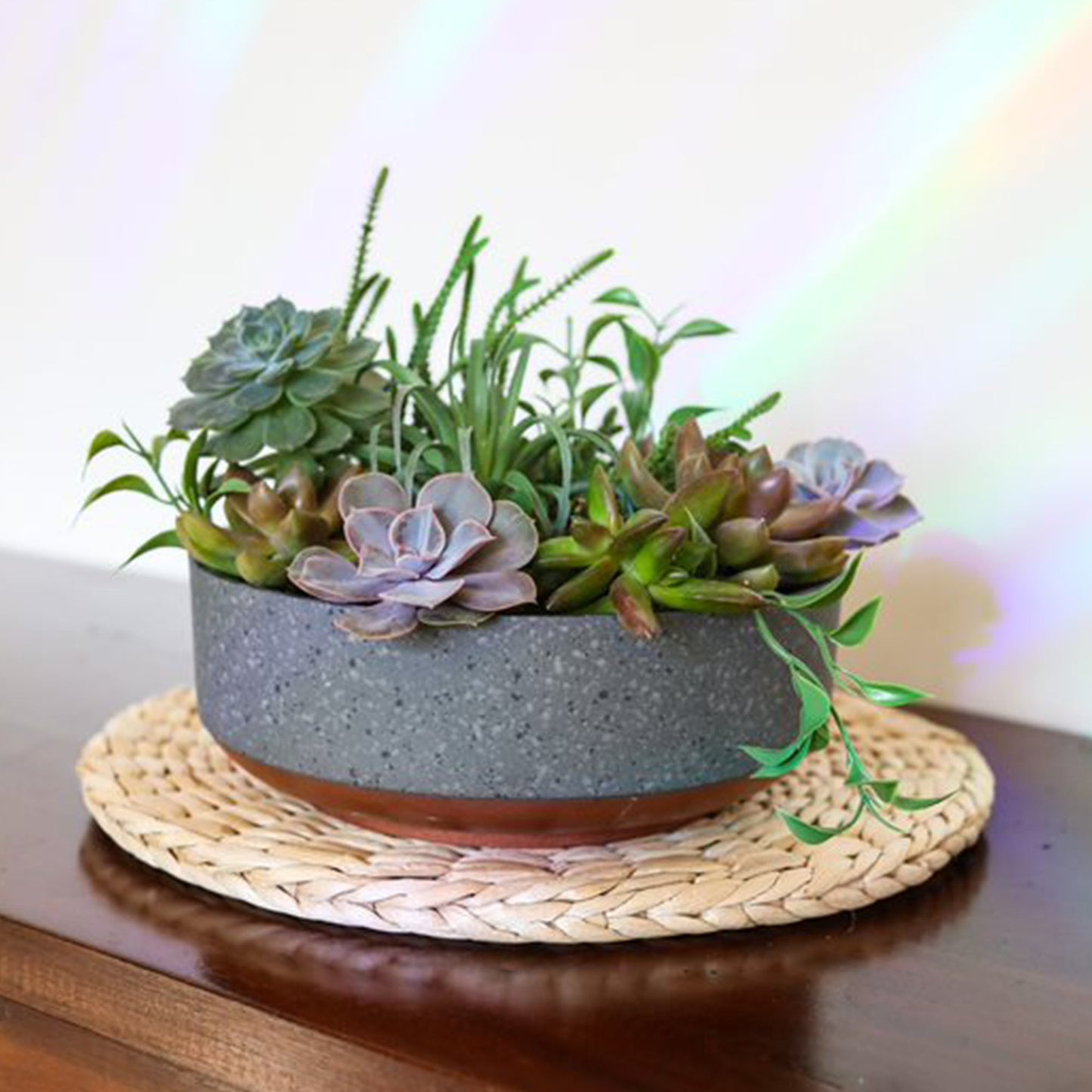 The HC Companies 8 In Capri Bowl Indoor Succulent Planter, Faux Concrete Copper