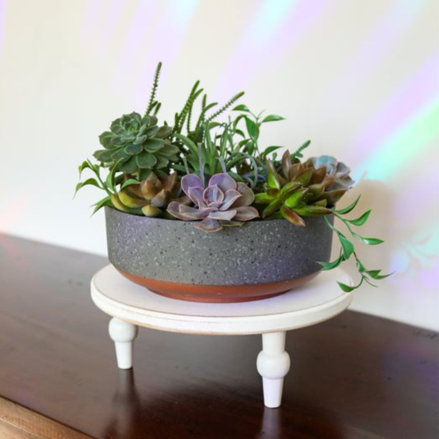 The HC Companies 8 In Capri Bowl Indoor Succulent Planter, Faux Concrete Copper