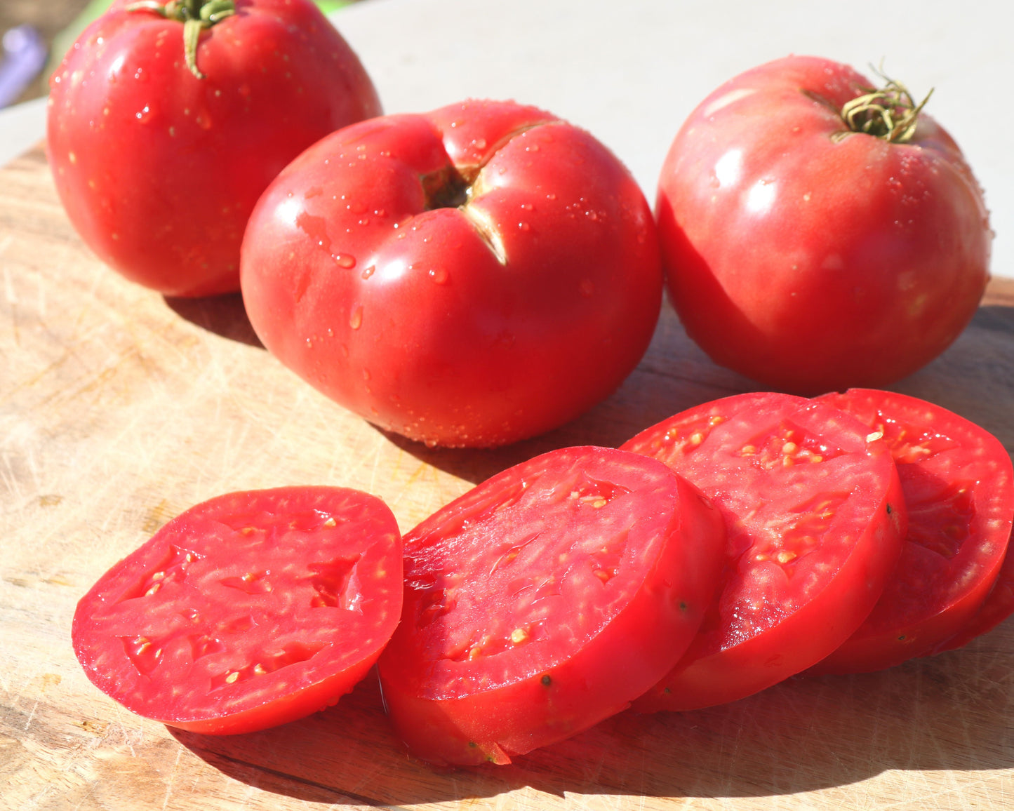 Pink Girl Hybrid Tomato Seeds