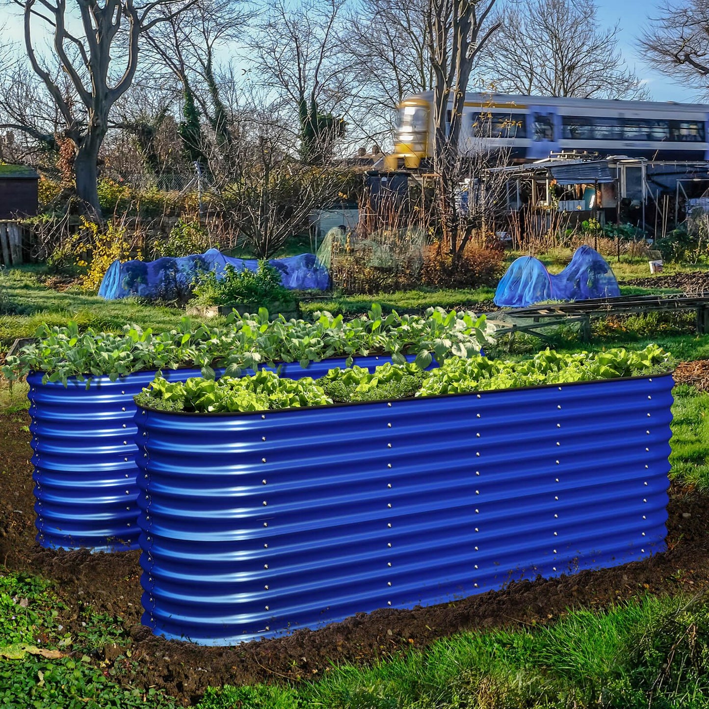 32" Tall, 12-in-1 Raised Garden Bed, in Cobalt Blue