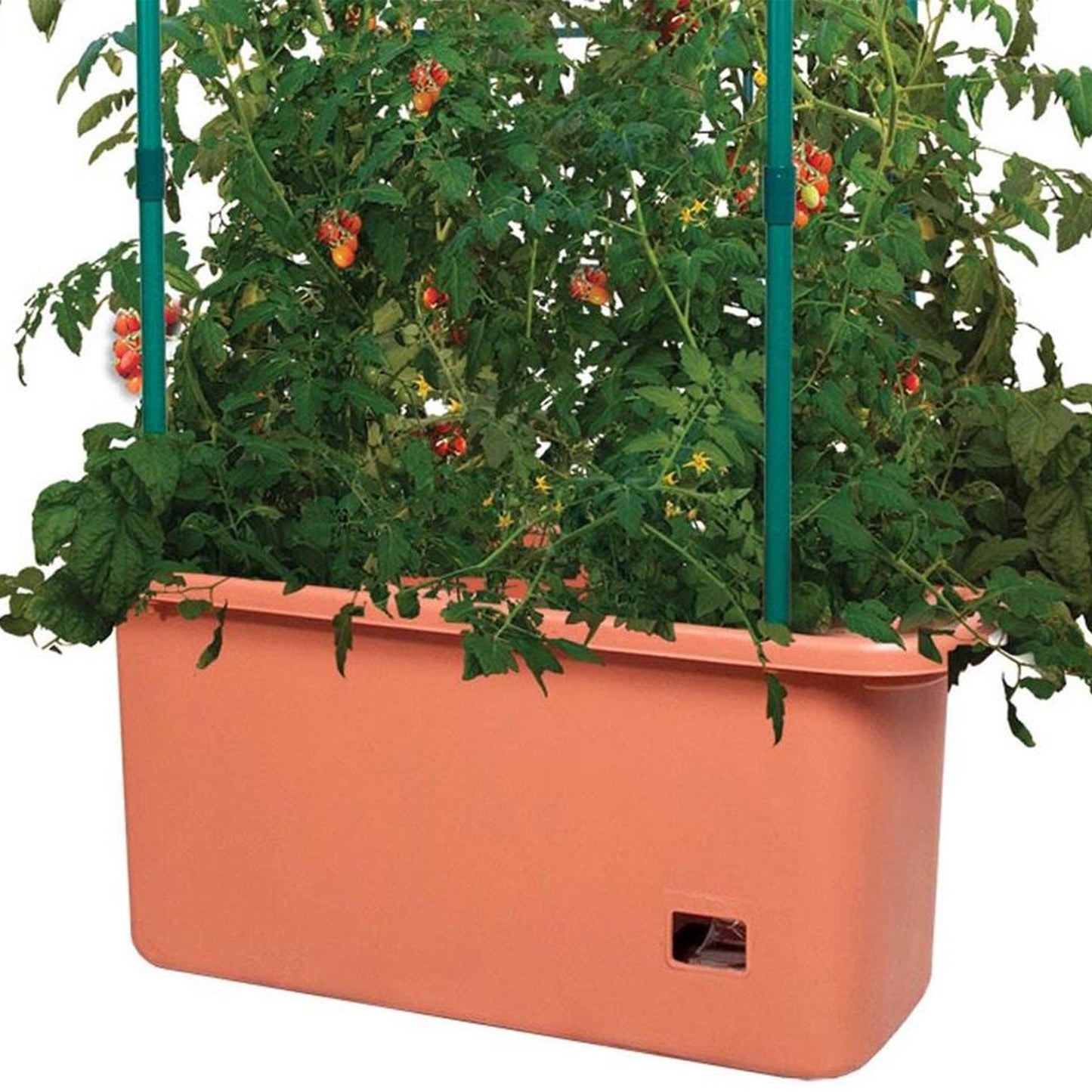 Hydrofarm 10 Gal Gardener w/4' Trellis Tower & FoxFarm Happy Frog Soil, 12 Qt