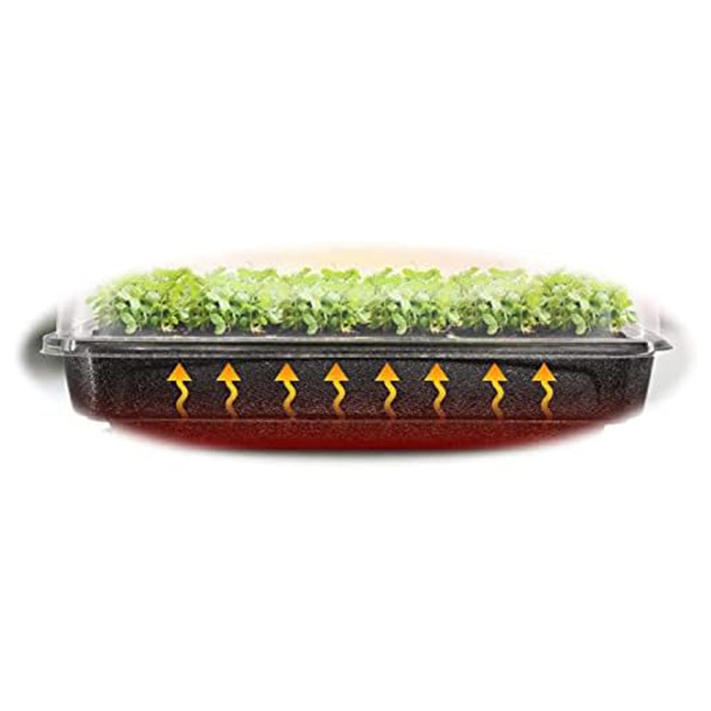 SunBlaster SL1600228 Prism Lens Powered LED Mini Greenhouse Kit for Seed Starter