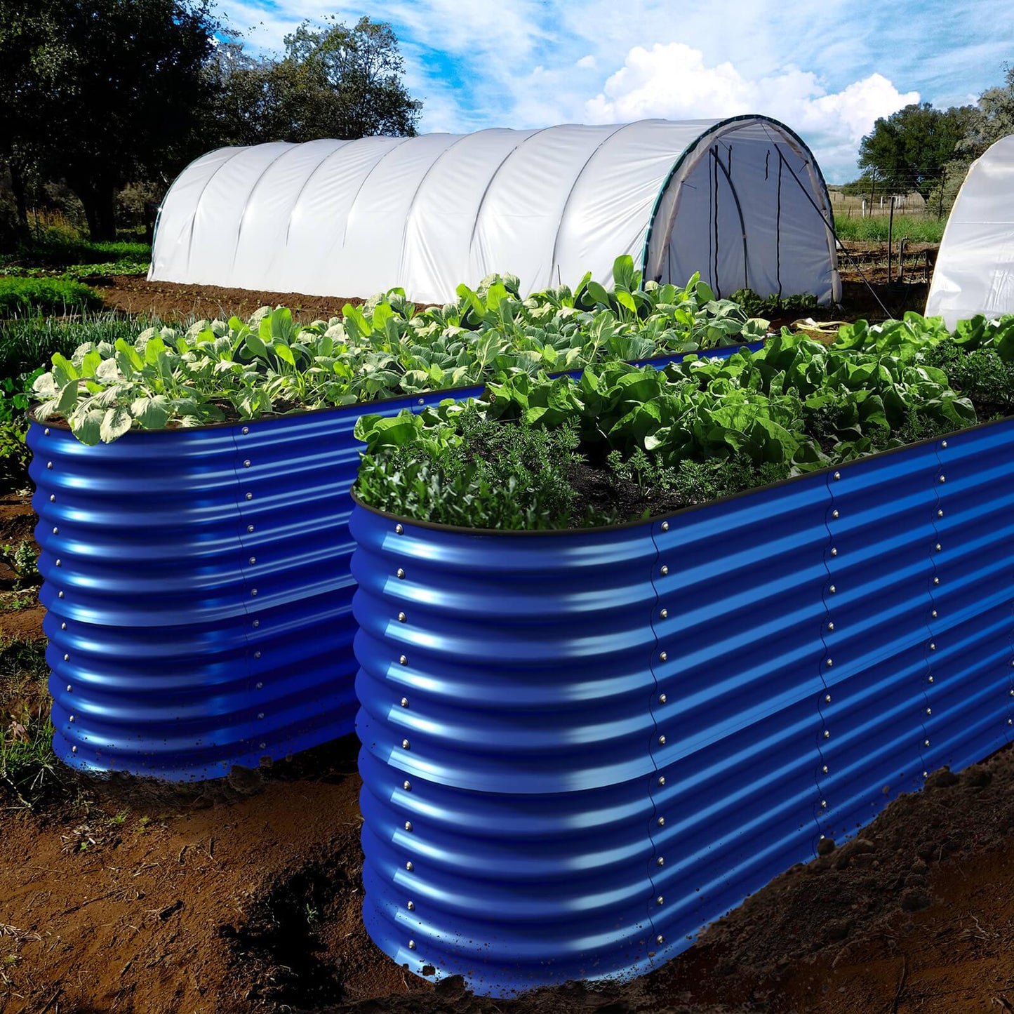 32" Tall, 12-in-1 Raised Garden Bed, in Cobalt Blue