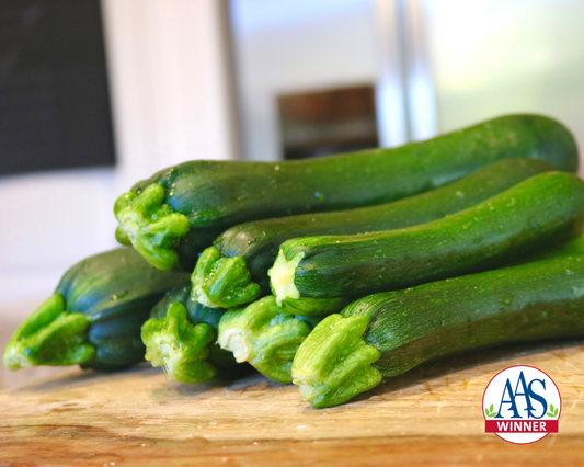 Commander Hybrid Zucchini Seeds