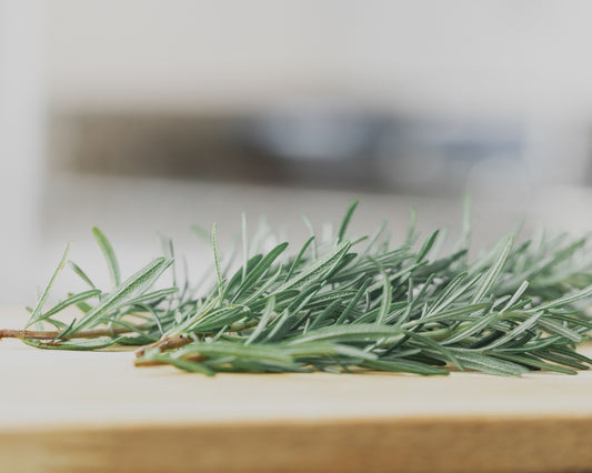 Rosemary Seeds