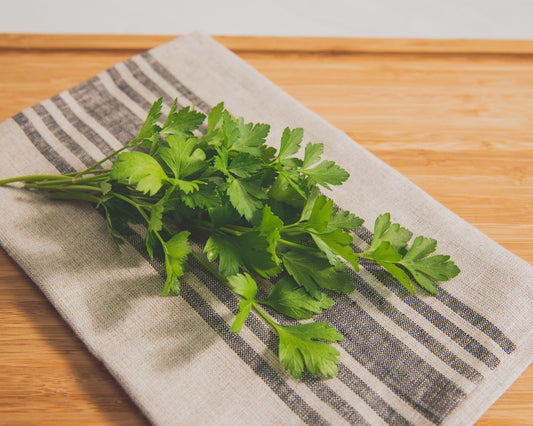 Parsley Seeds, Italian Plain Leaf