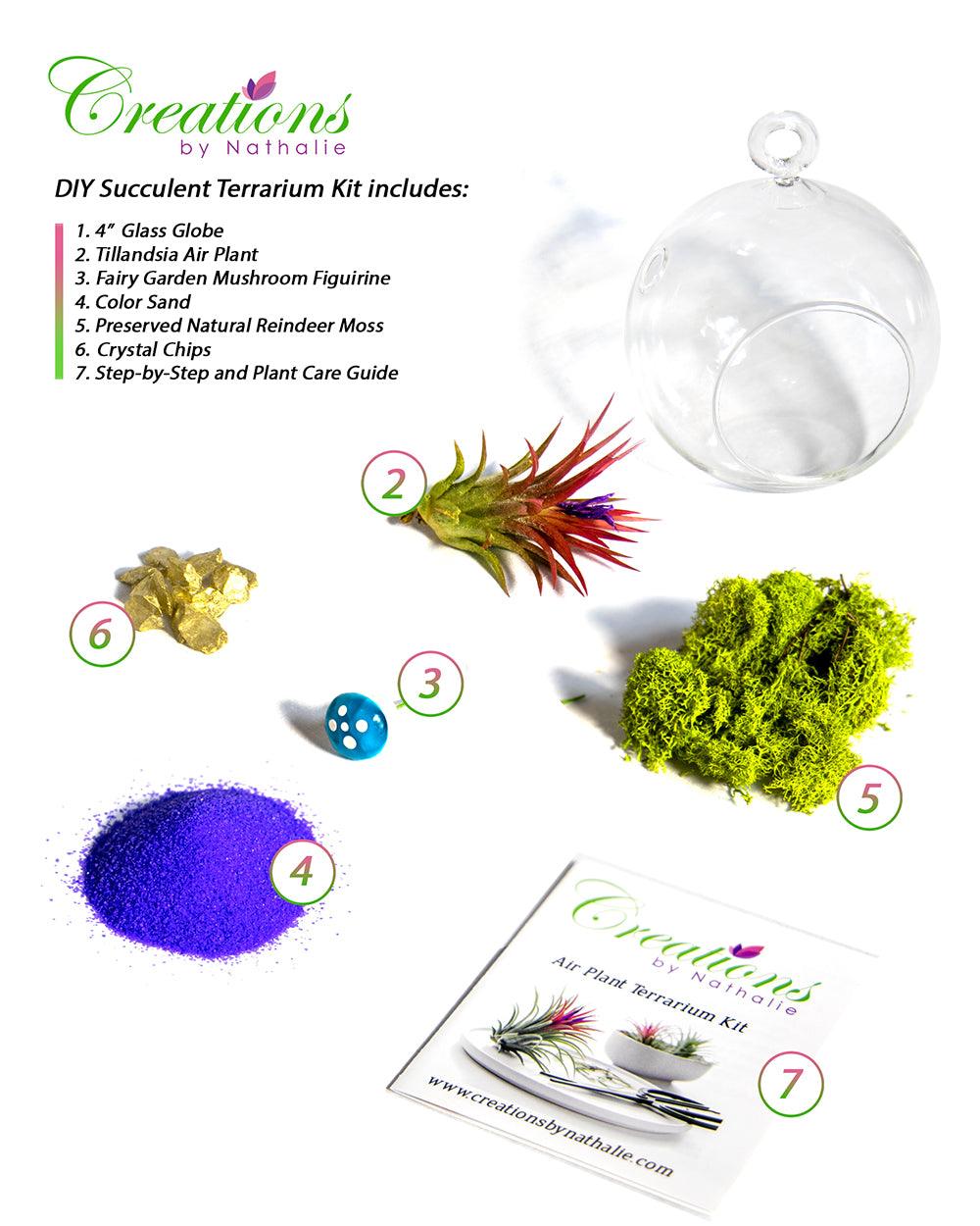 4" Glass Globe Air Plant Terrarium Kit