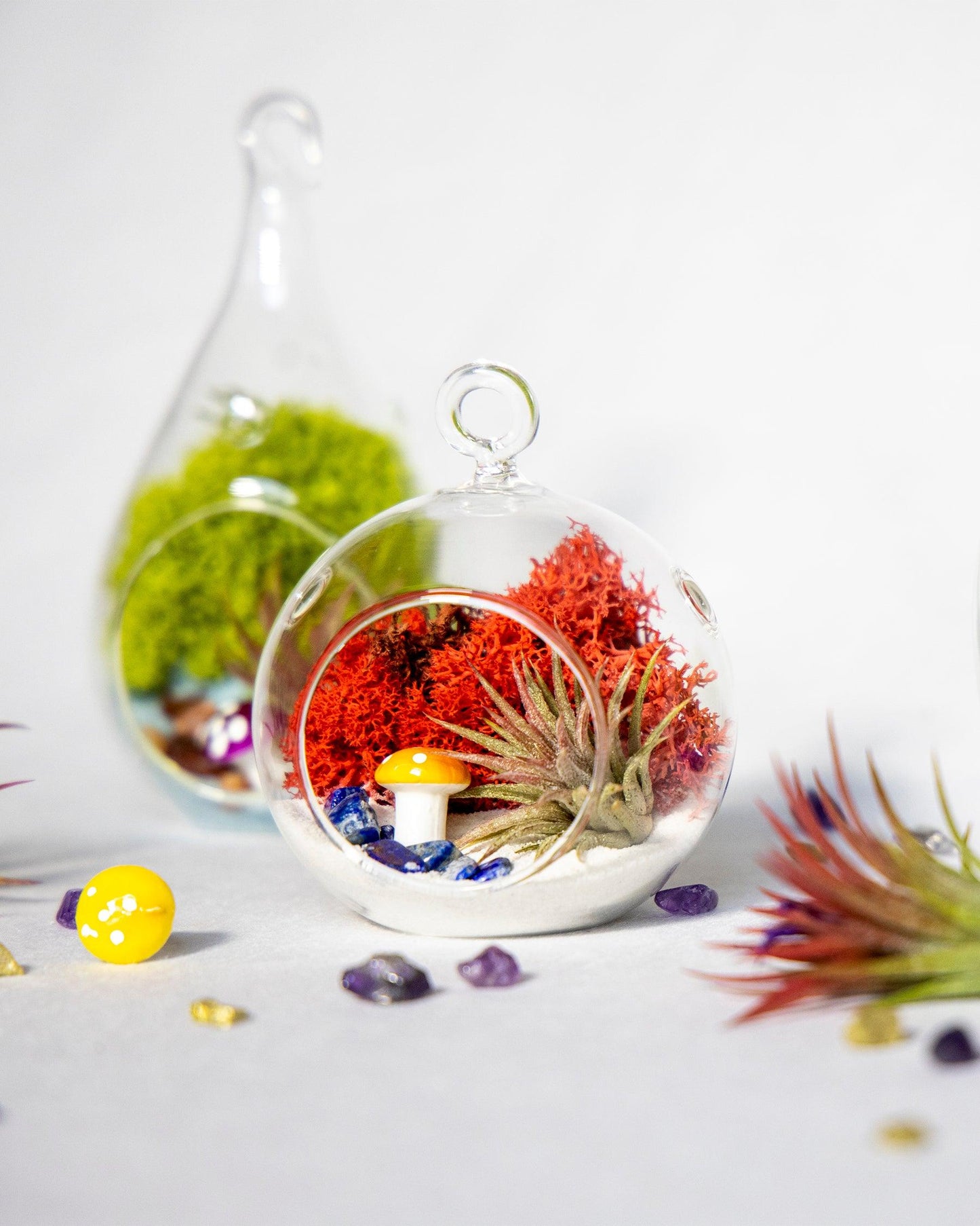 4" Glass Globe Air Plant Terrarium Kit