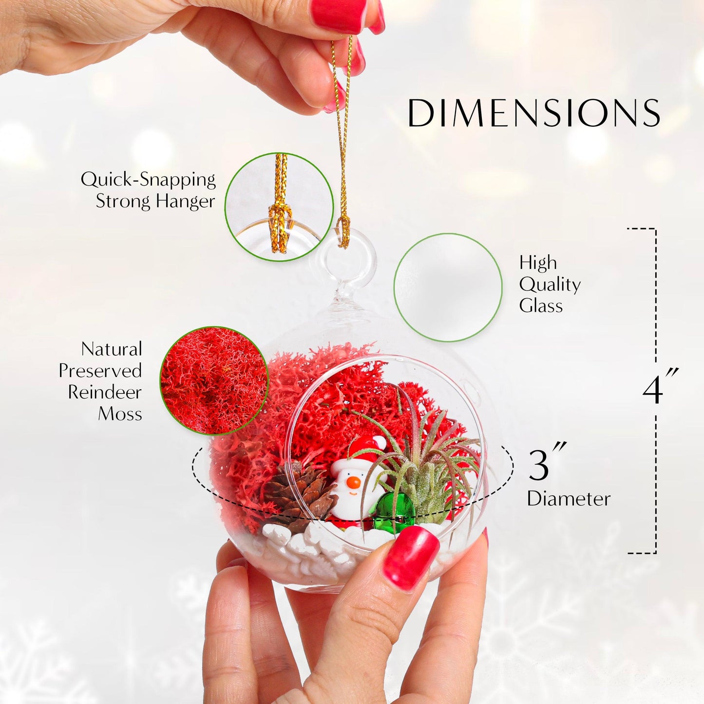 4" Glass Globe Holiday Ornament Terrarium Kit