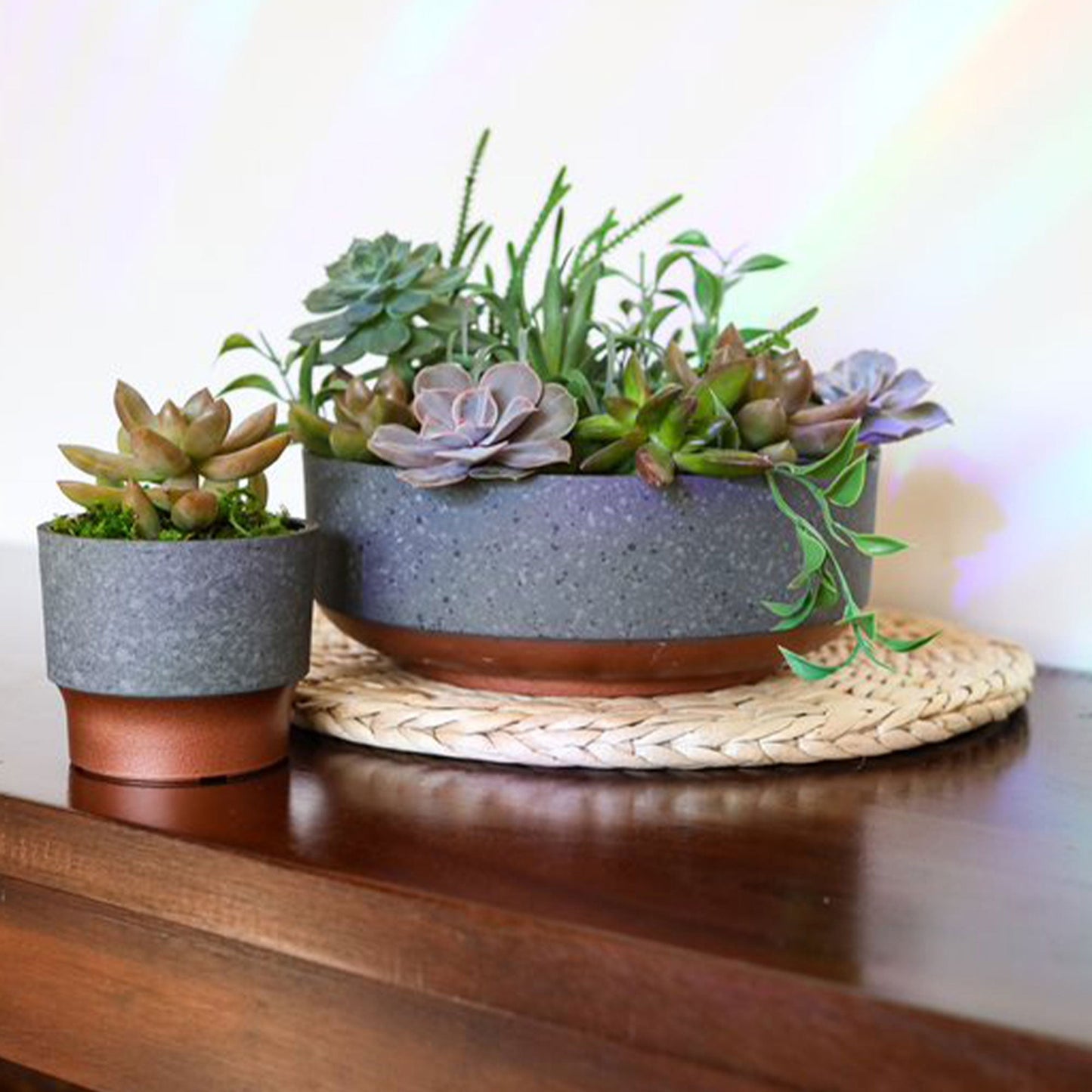 The HC Companies Capri Bowl Succulent Planter, Faux Concrete Copper (20 Pack)