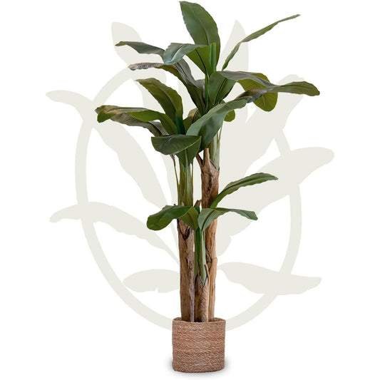 Maia Shop Artificial Banana Tree 6 Feet Tall Tropical Home Decoration, 71 Inches