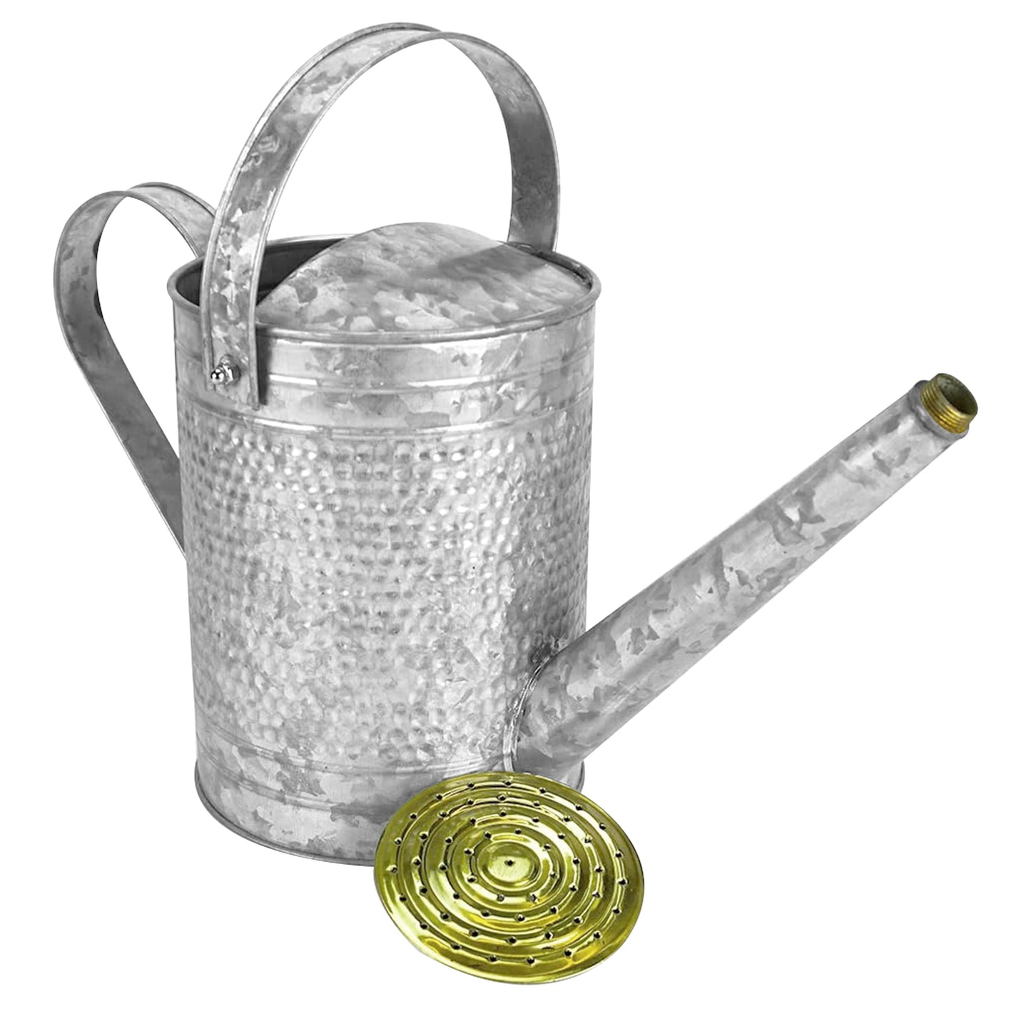 Jameson 1 Gallon Galvanized Watering Can with Handle for Patio, Lawn, and Garden