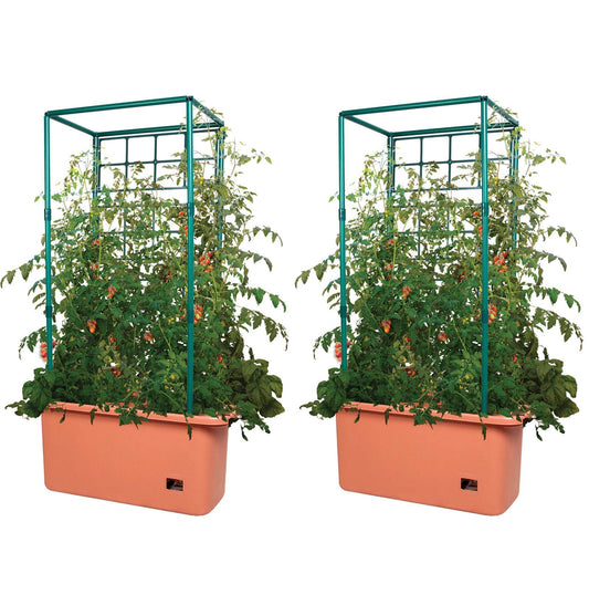 Hydrofarm GCTR 10 Gal Tomato Trellis Self Watering Grow System (2 Pack)