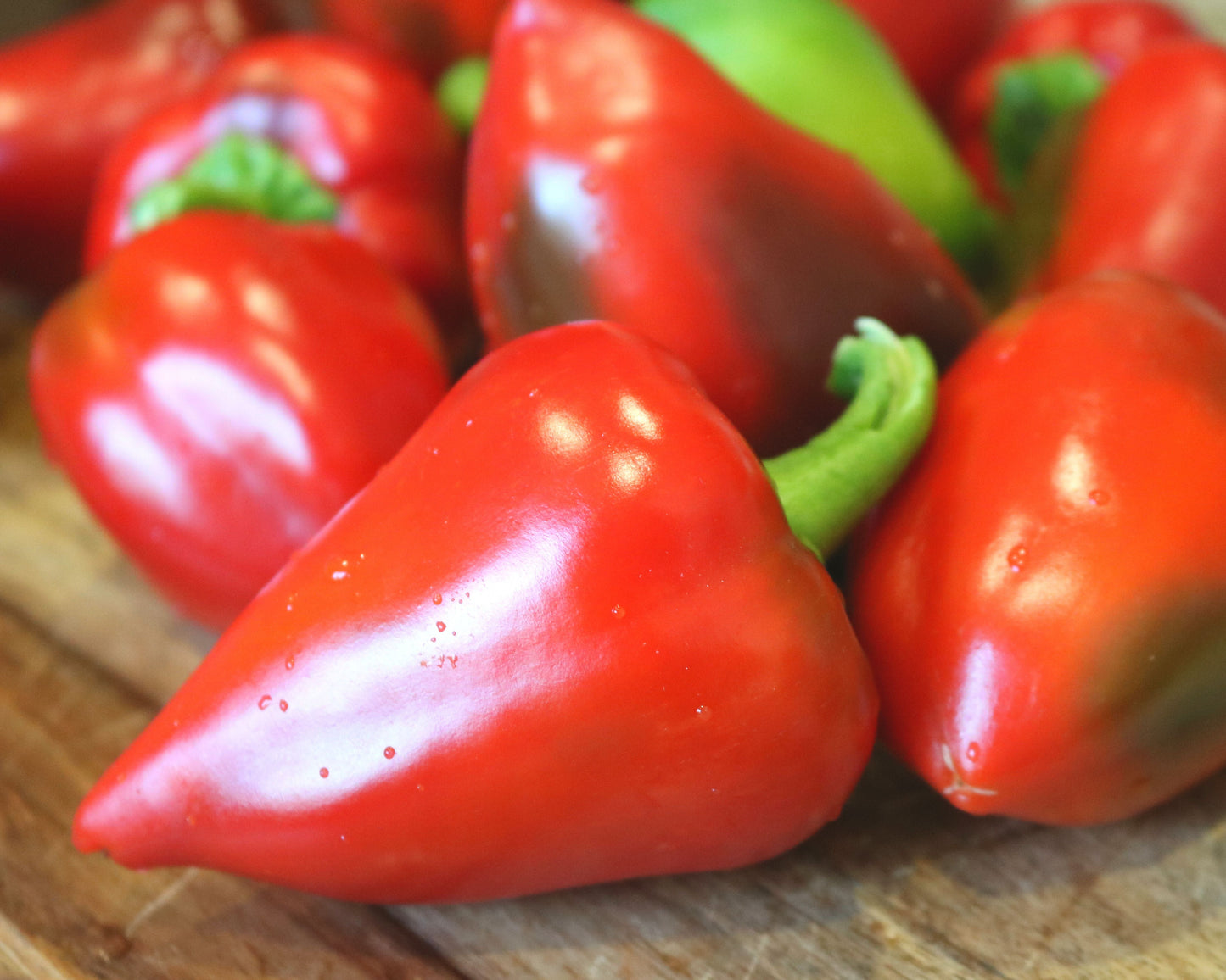 Pimiento Elite Hybrid Pepper Seeds