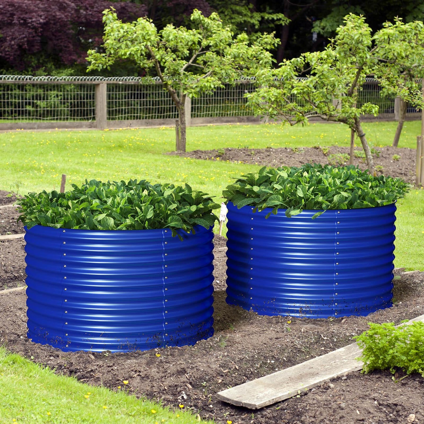 32" Tall x 42" Round Raised Garden Bed, in Cobalt Blue