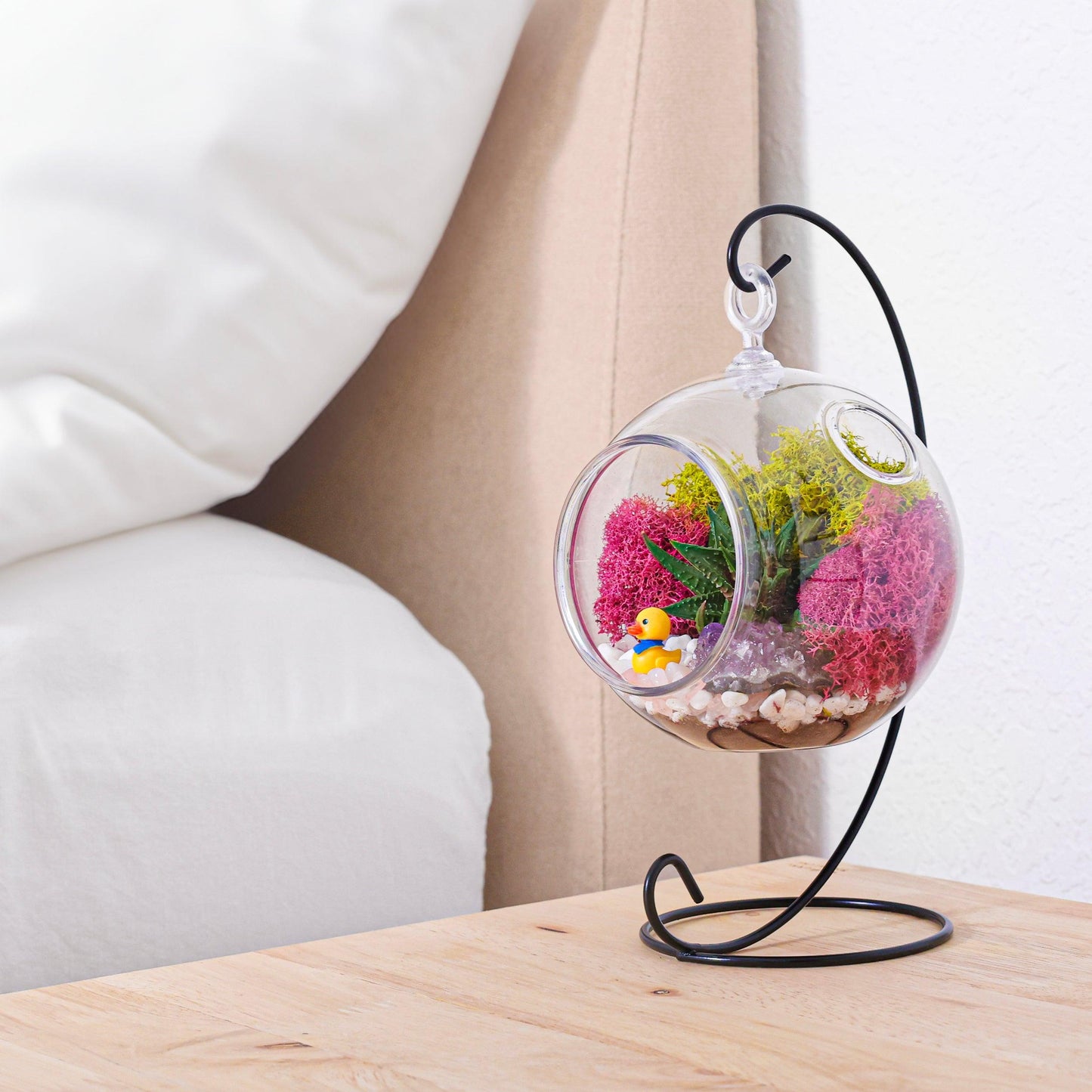 5" Acrylic Globe Succulent Terrarium Kit (Kid Friendly)