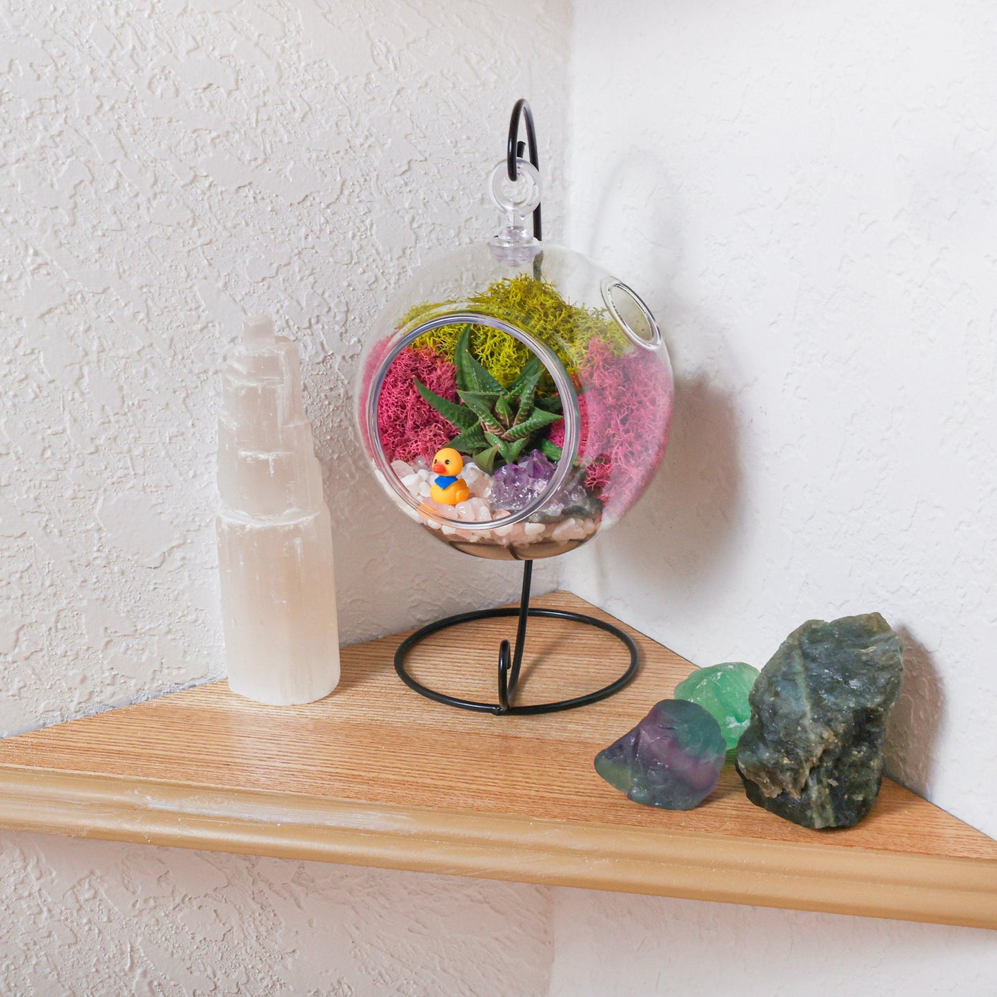 5" Acrylic Globe Succulent Terrarium Kit (Kid Friendly)