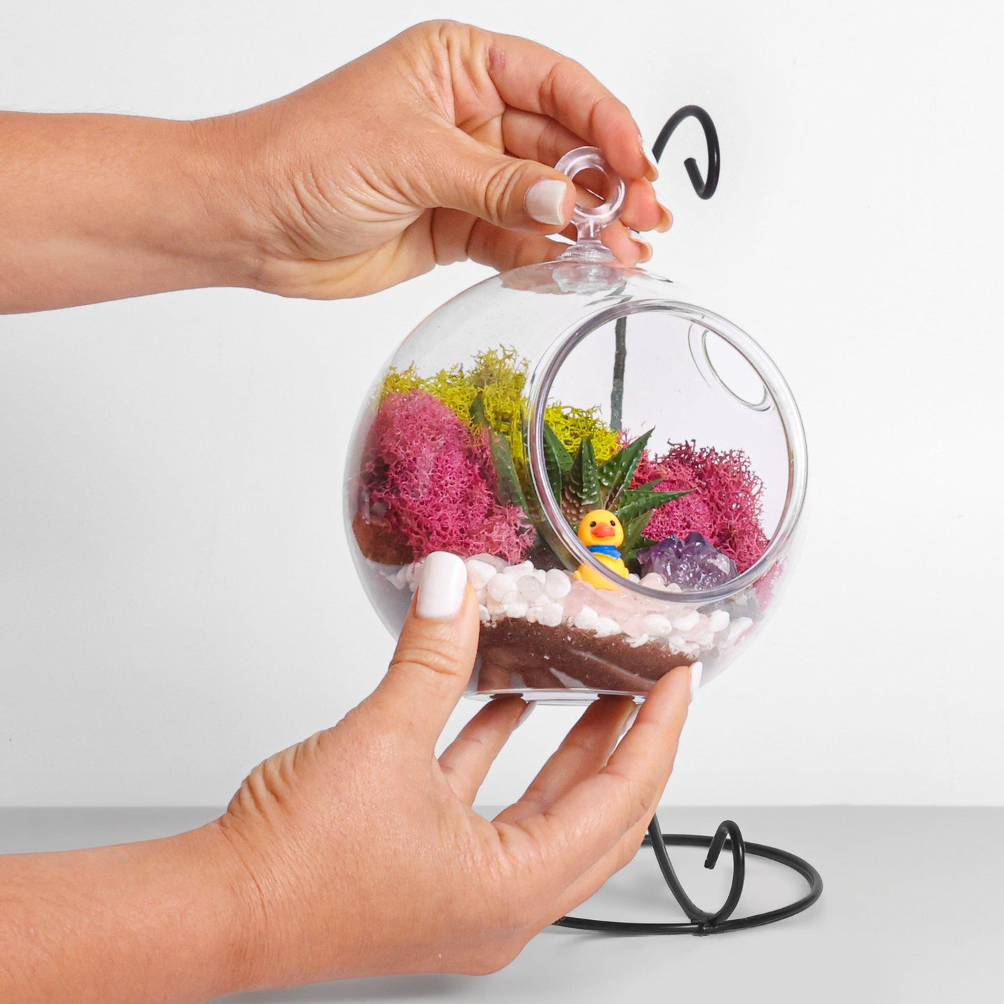 5" Acrylic Globe Succulent Terrarium Kit (Kid Friendly)