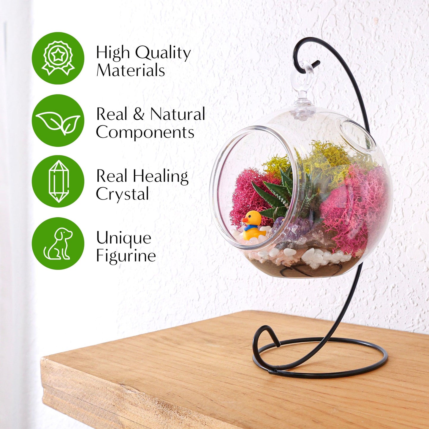 5" Acrylic Globe Succulent Terrarium Kit (Kid Friendly)