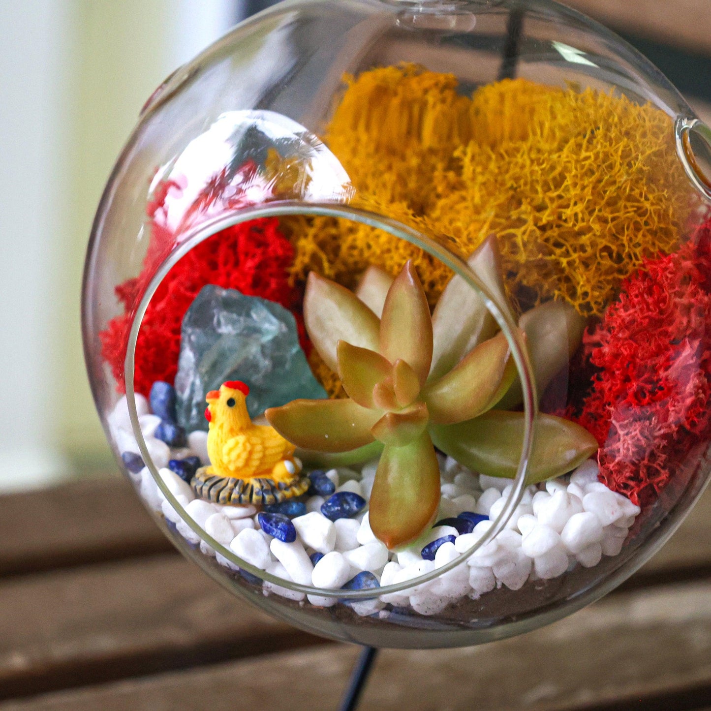 5" Glass Globe Succulent Terrarium Kit