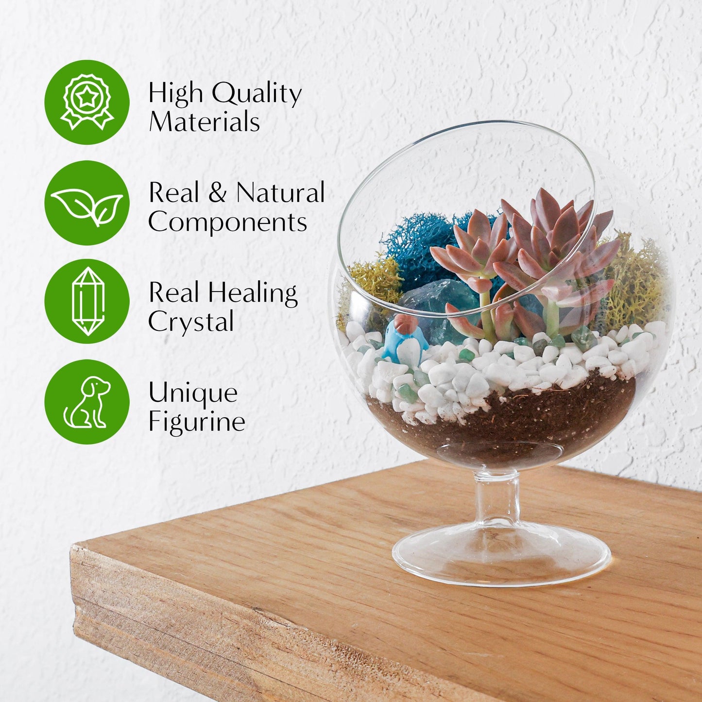 6" Glass Chalice Succulent Terrarium Kit