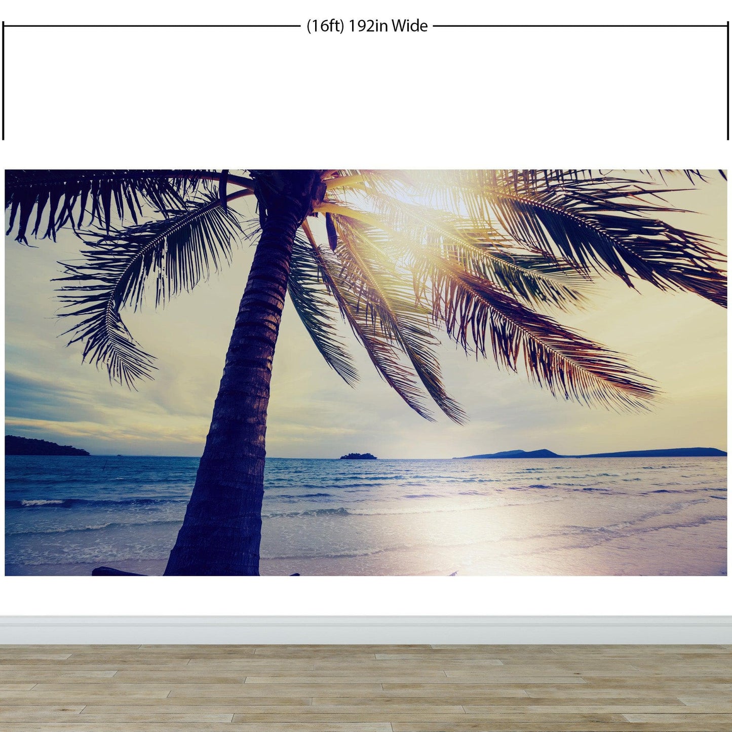 Beach Palm Tree Coastline Sunset Wall Mural #6040