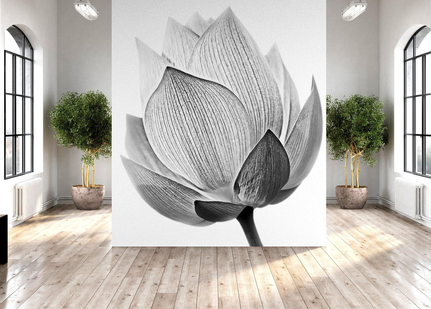 Black and White Lotus Flower Wall Mural #6116