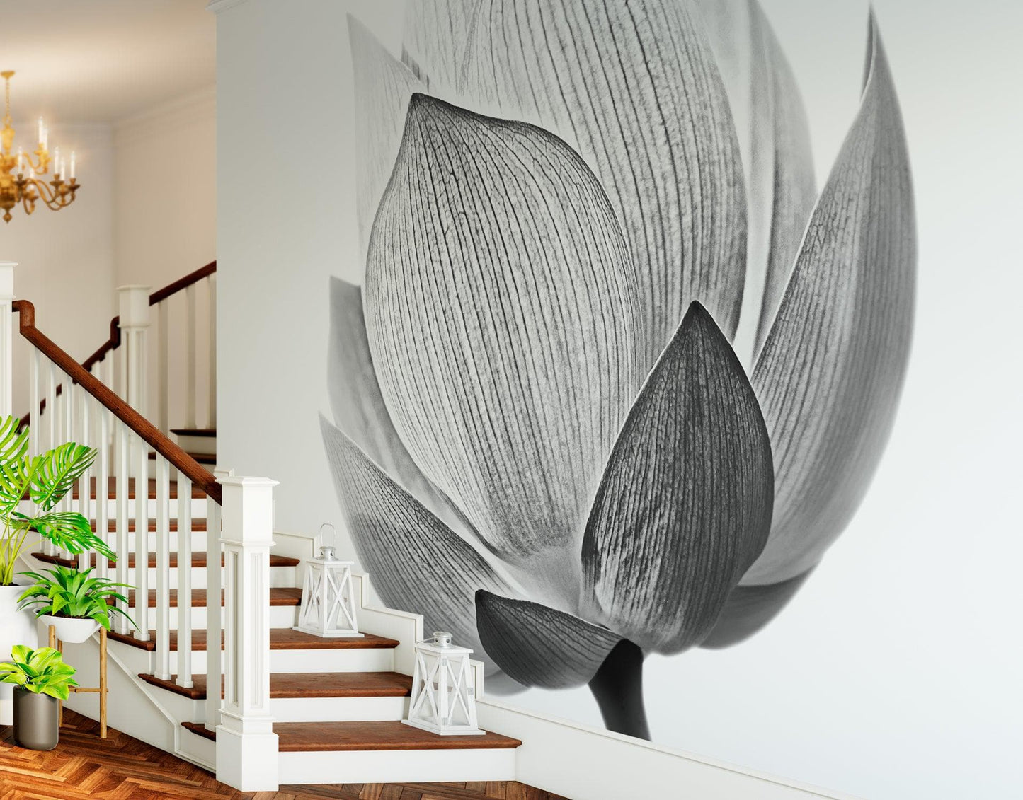 Black and White Lotus Flower Wall Mural #6116