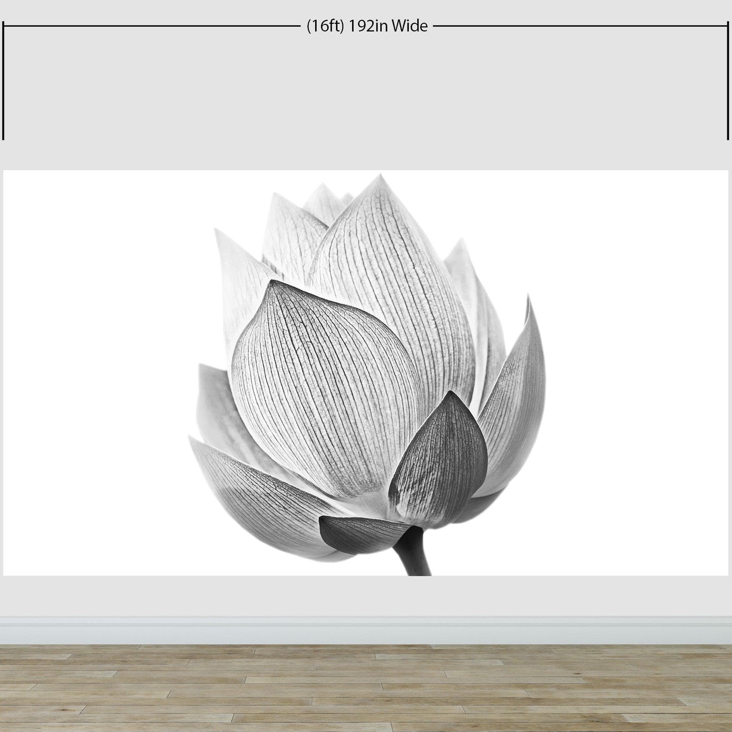 Black and White Lotus Flower Wall Mural #6116