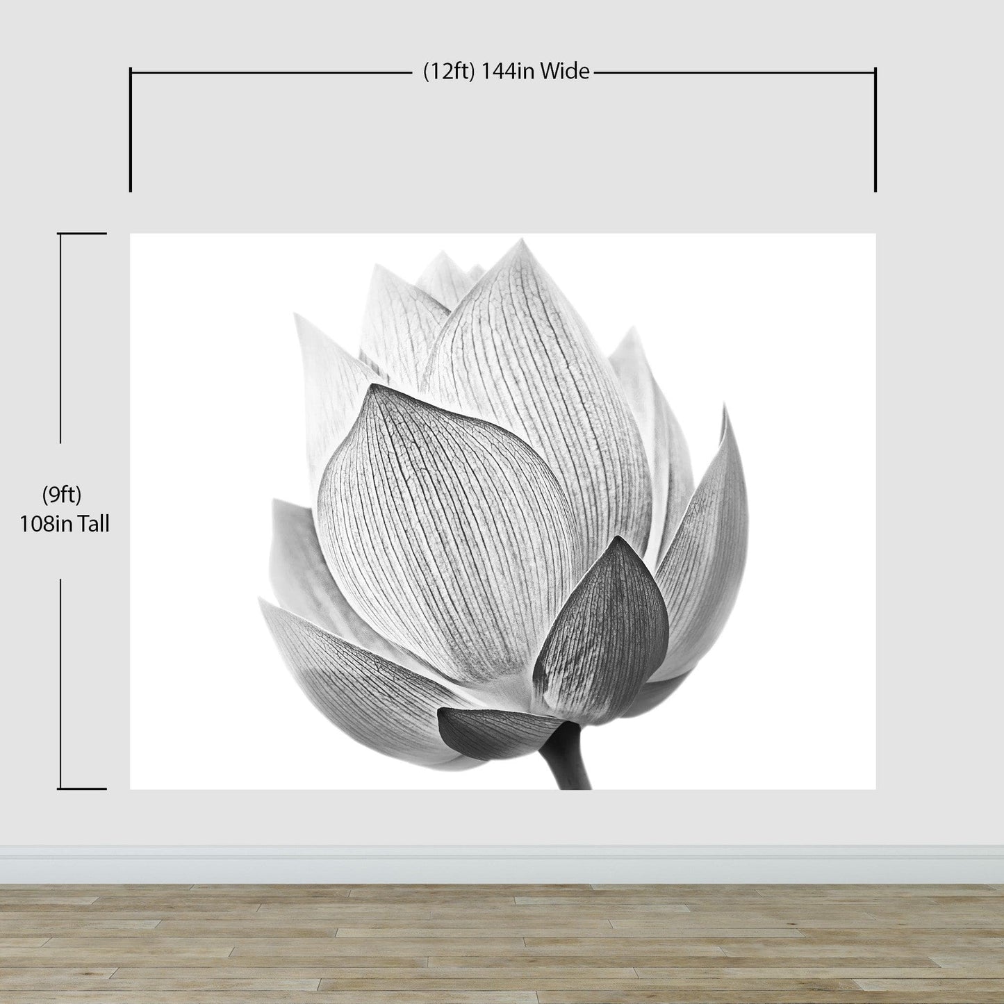 Black and White Lotus Flower Wall Mural #6116