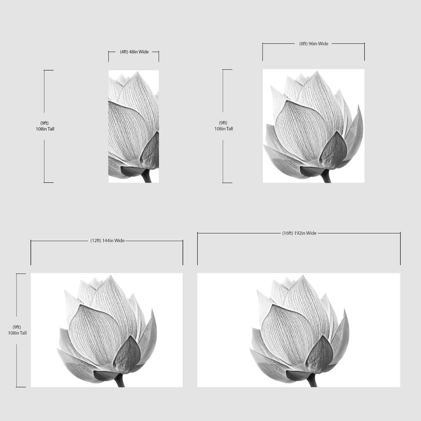 Black and White Lotus Flower Wall Mural #6116