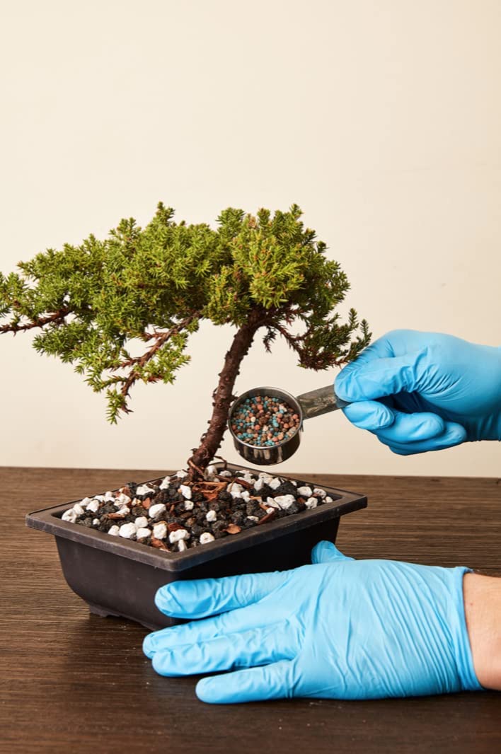 All purpose Bonsai fertilizer