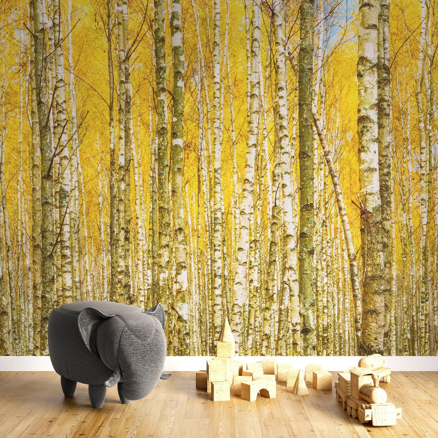 Autumn Scenic Birch Tree Forest Wall Mural | Peel and Stick Wallpaper. #6202