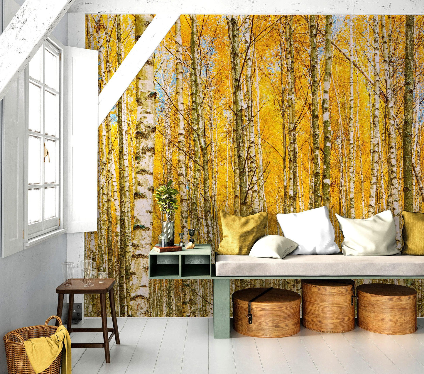 Autumn Scenic Birch Tree Forest Wall Mural | Peel and Stick Wallpaper. #6202