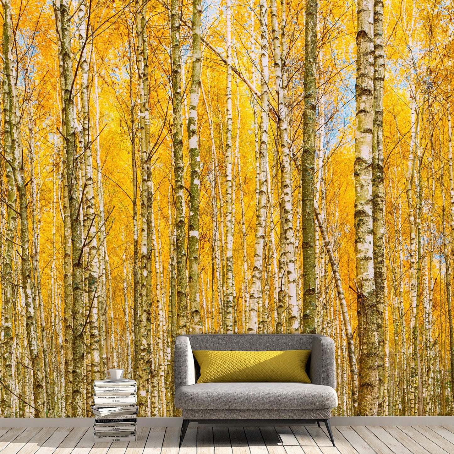 Autumn Scenic Birch Tree Forest Wall Mural | Peel and Stick Wallpaper. #6202