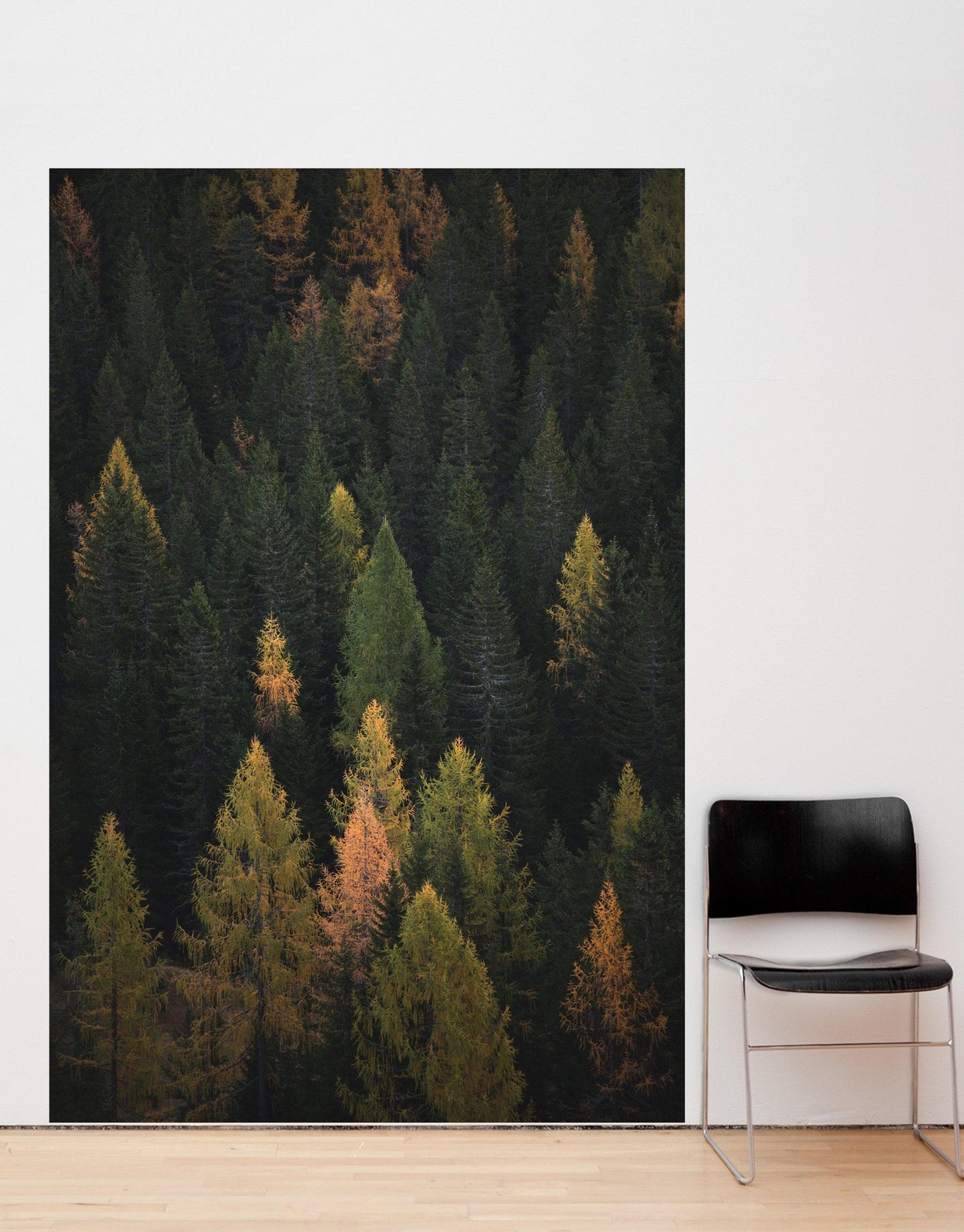 Enchanted Forest Tree Woodland Peel and Stick Wallpaper | Removable Wall Mural #6203