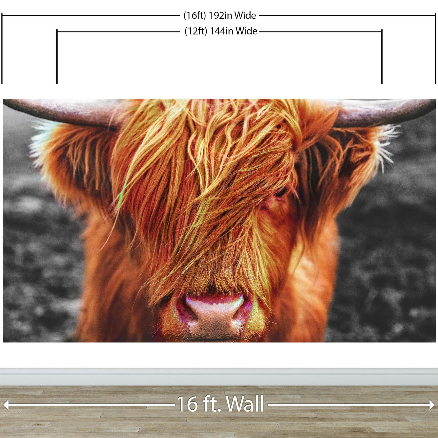 Highland Cow Cattle Head Wall Mural - Farmhouse Charm for Your Home. #6279