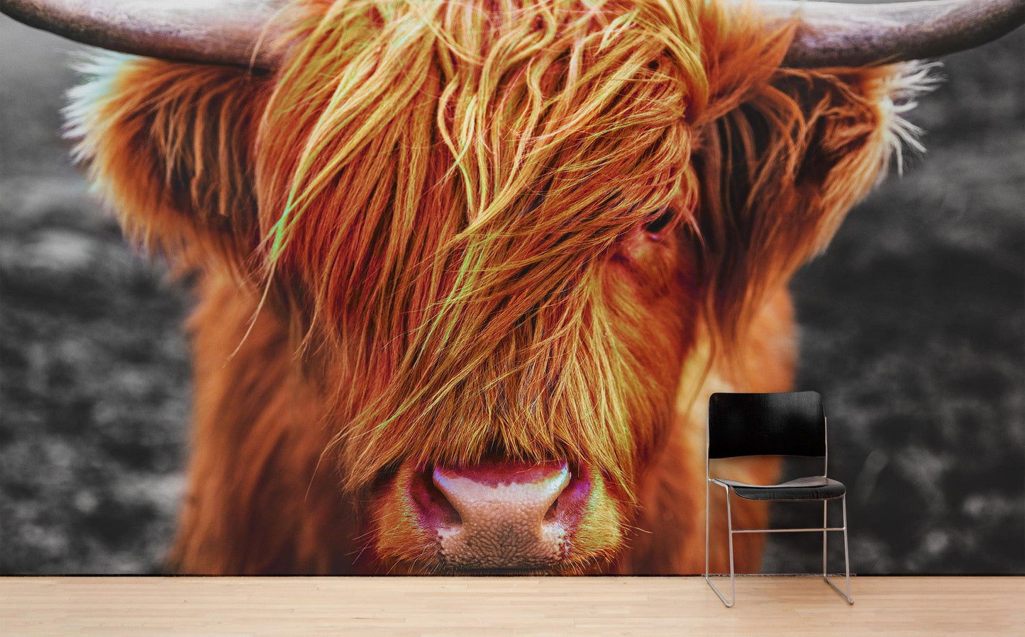 Highland Cow Cattle Head Wall Mural - Farmhouse Charm for Your Home. #6279